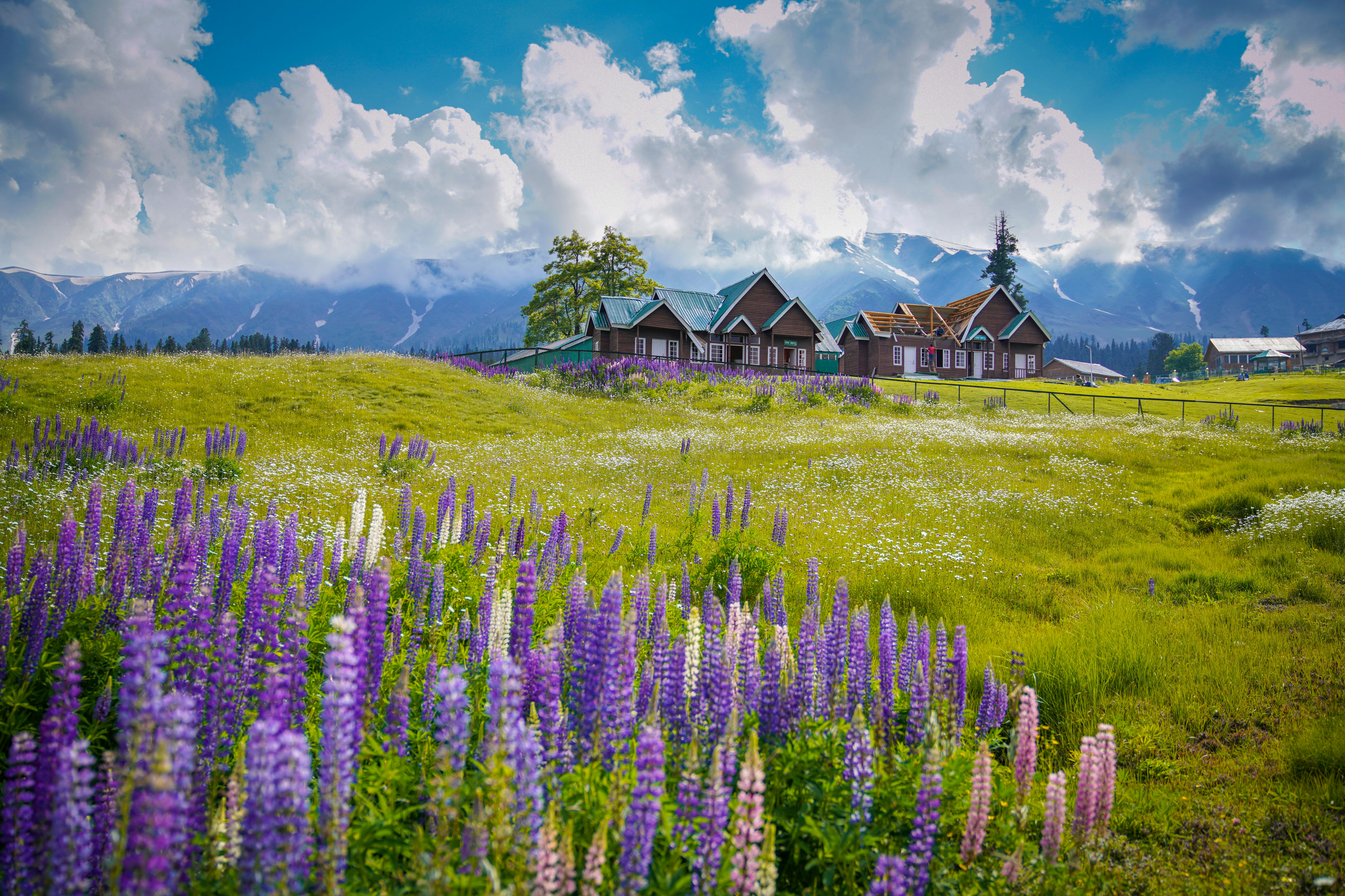  Gulmarg in Jammu and Kashmir with snow-capped meadows